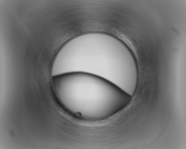 X0000115550017200911061136