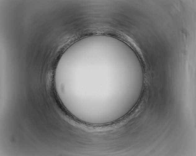 X0000115550018200911061136