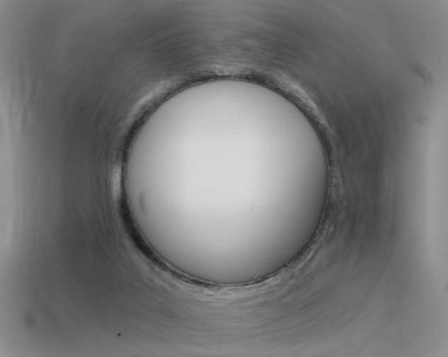 X0000115550019200911061136