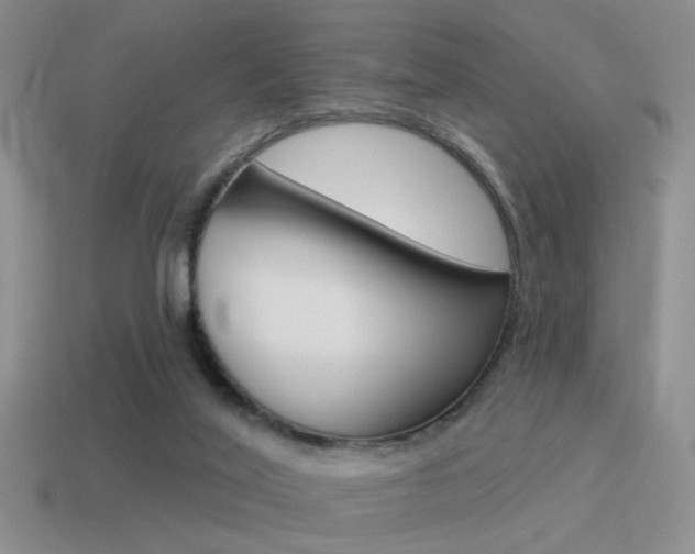 X0000115550020200911061136