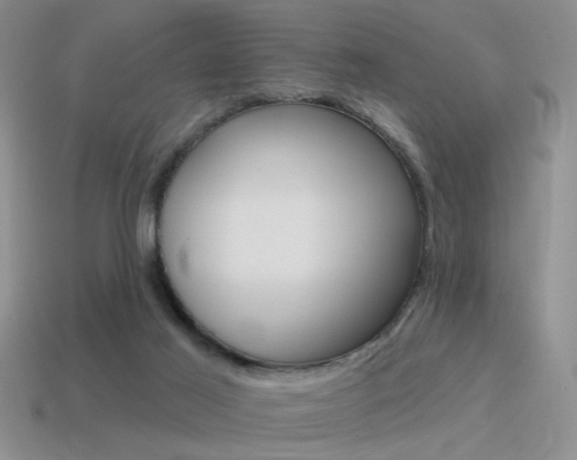 X0000115550021200911061136