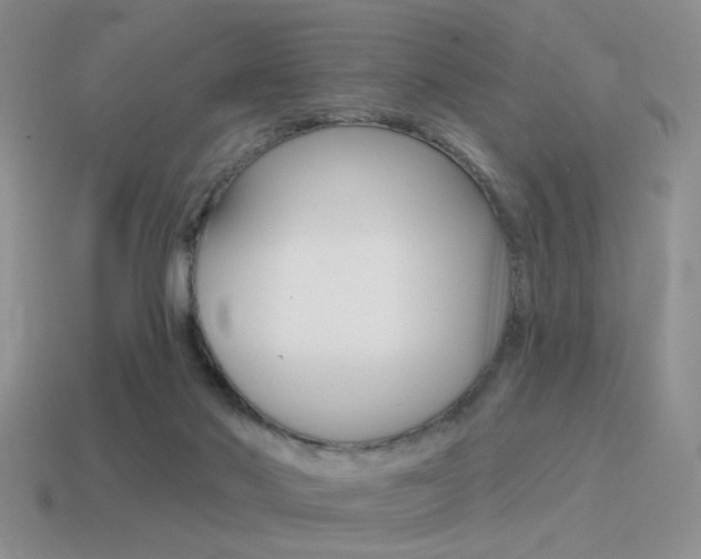 X0000115550022200911061136