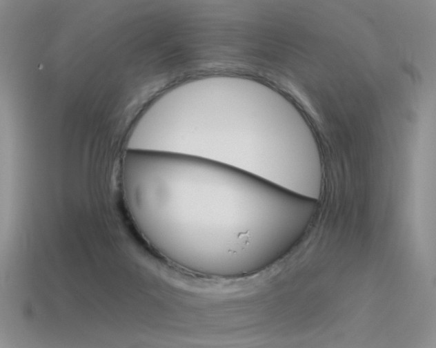 X0000115550023200911061136
