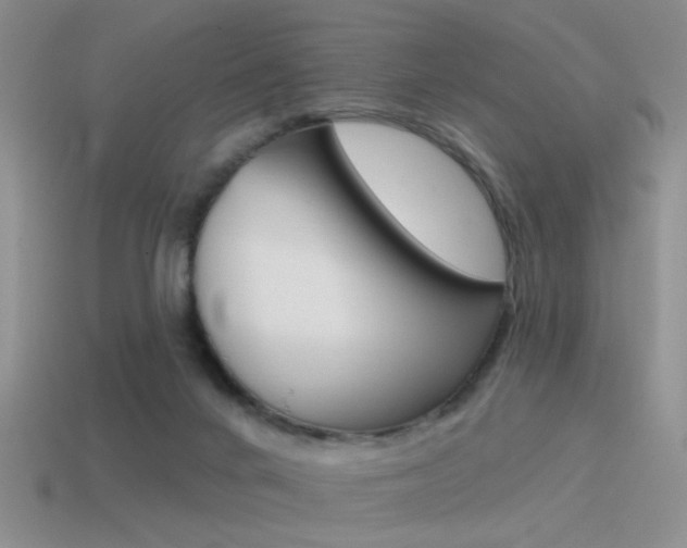X0000115550024200911061136