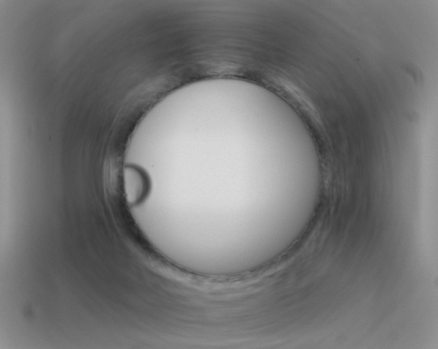 X0000115550026200911061136