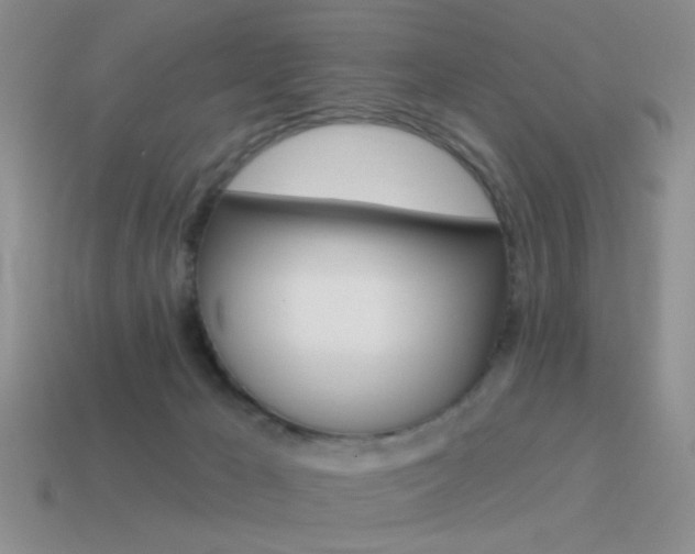 X0000115550029200911061136