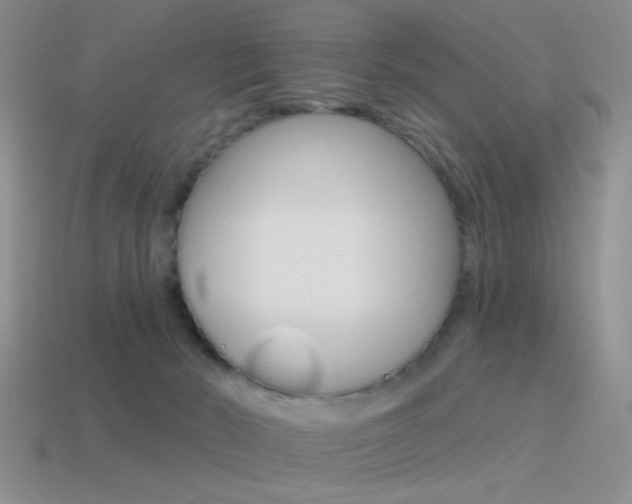 X0000115550030200911061136