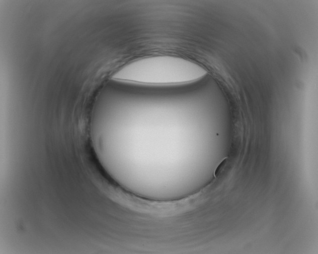 X0000115550031200911061136