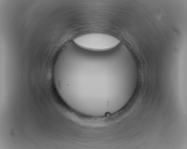 X0000115550032200911061136