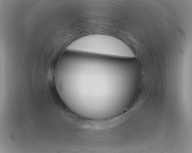 X0000115550033200911061136