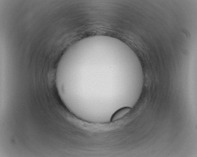 X0000115550034200911061136