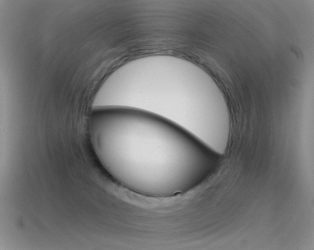 X0000115550035200911061136