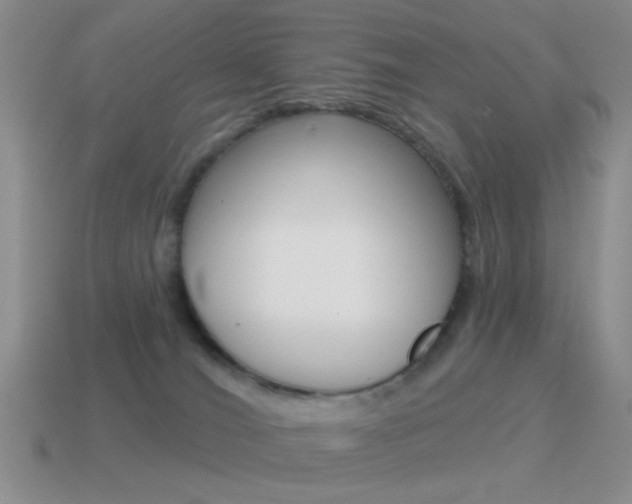 X0000115550036200911061136