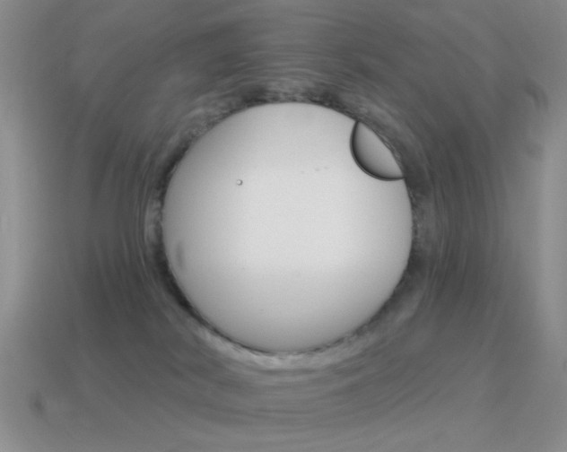 X0000115550038200911061136
