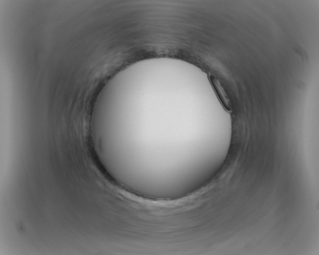X0000115550039200911061136