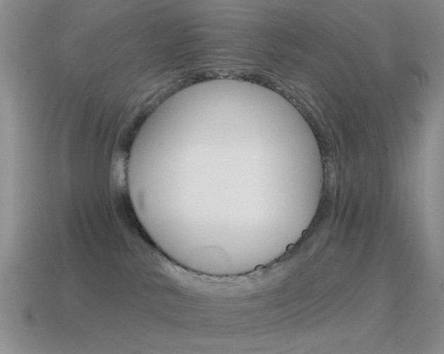 X0000115550042200911061136