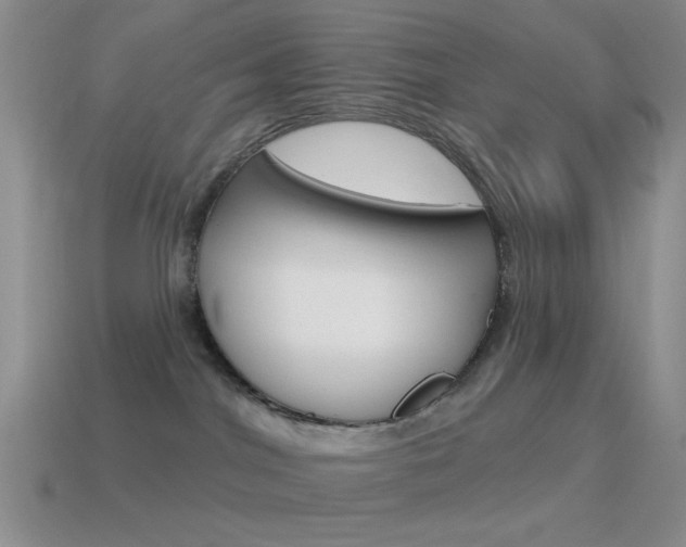 X0000115550044200911061136