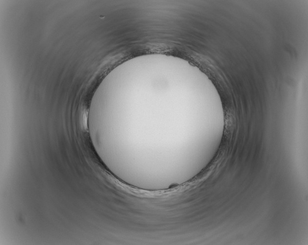 X0000115550046200911061136