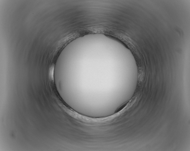 X0000115550047200911061136