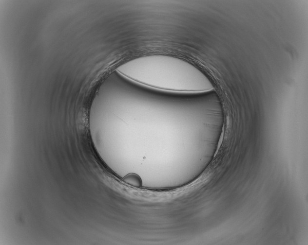 X0000115550048200911061136