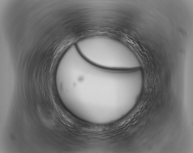 X0000115550049200911061135