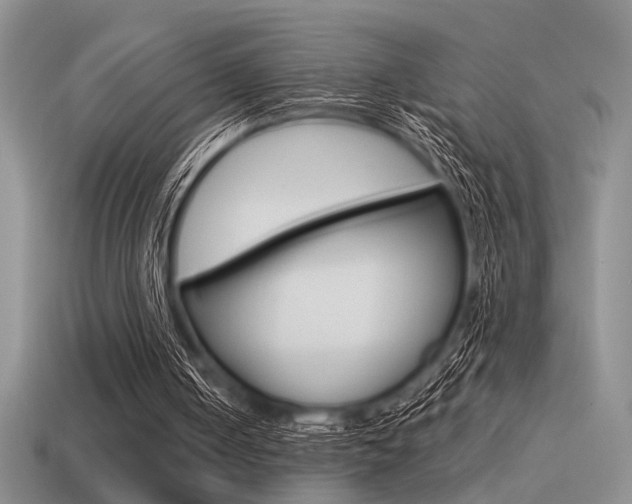 X0000115550050200911061135