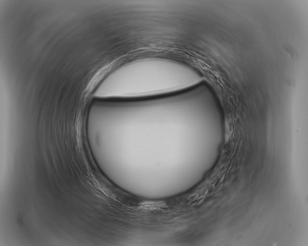 X0000115550051200911061135