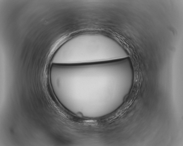 X0000115550053200911061135