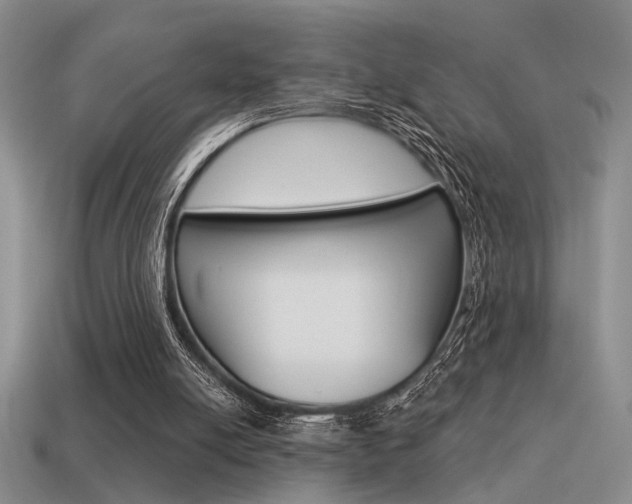 X0000115550054200911061135
