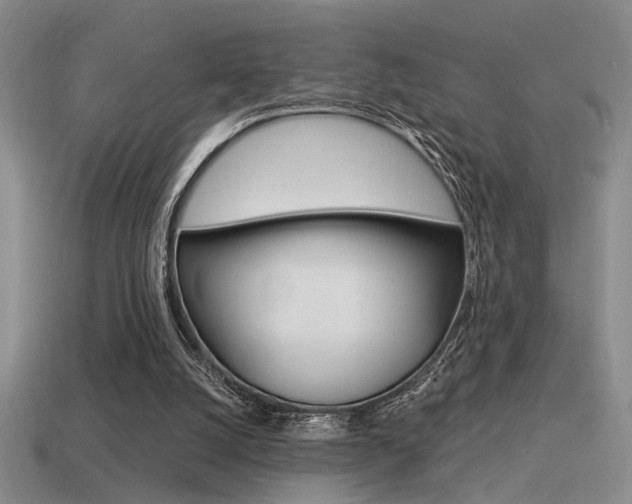 X0000115550056200911061135