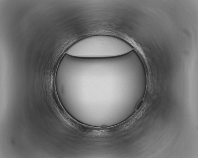 X0000115550057200911061135