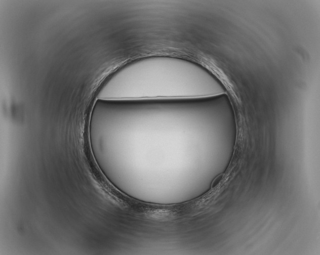 X0000115550058200911061135