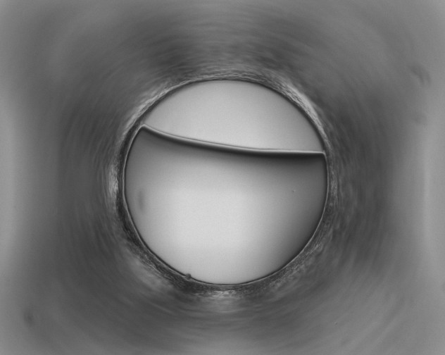 X0000115550059200911061135