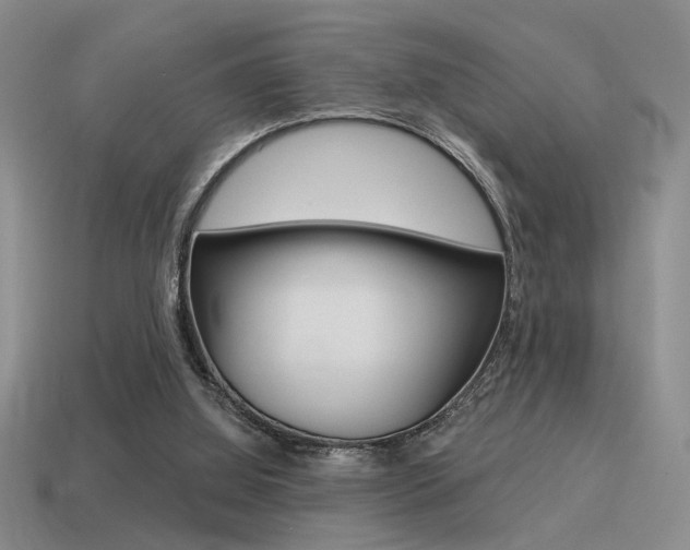 X0000115550060200911061135