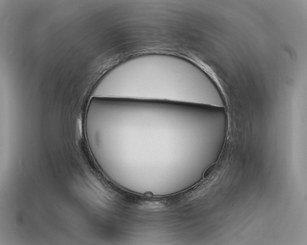 X0000115550061200911061135