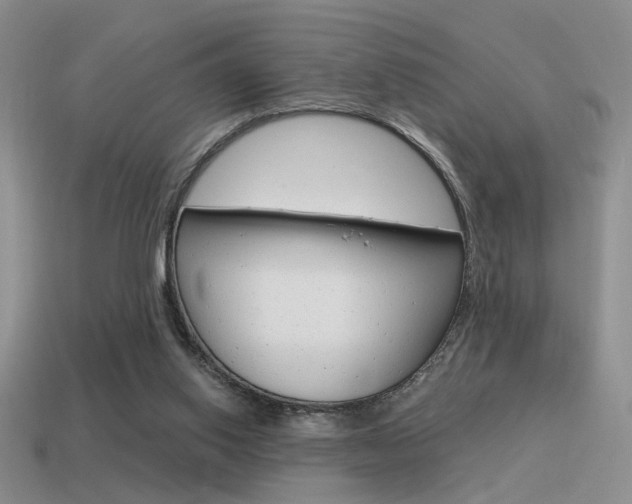 X0000115550062200911061135