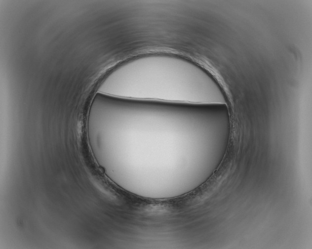 X0000115550063200911061135