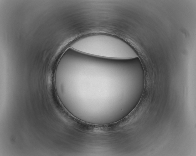 X0000115550064200911061135