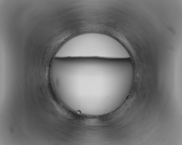 X0000115550066200911061135
