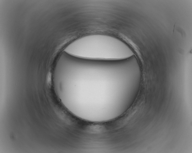 X0000115550067200911061135