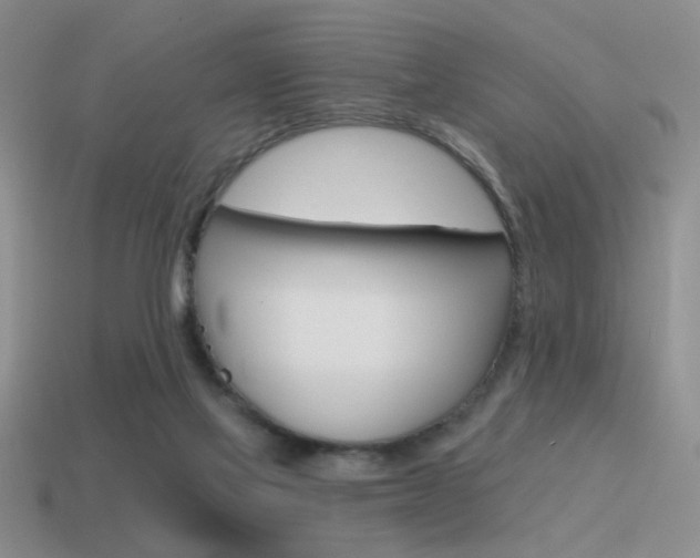 X0000115550069200911061135