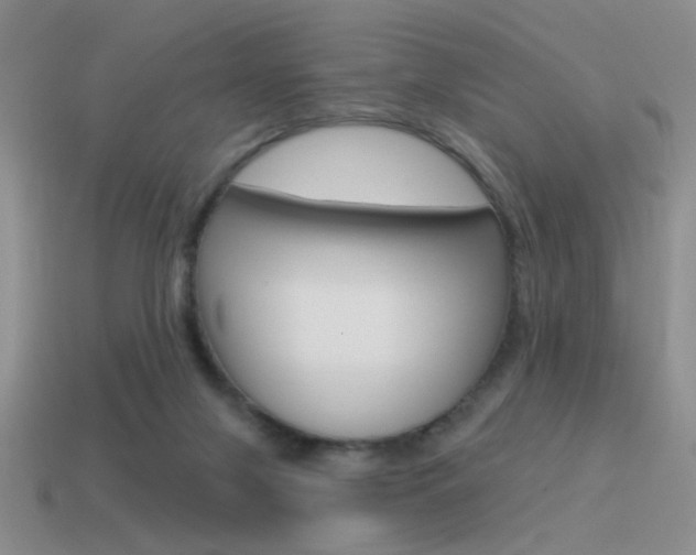 X0000115550071200911061135