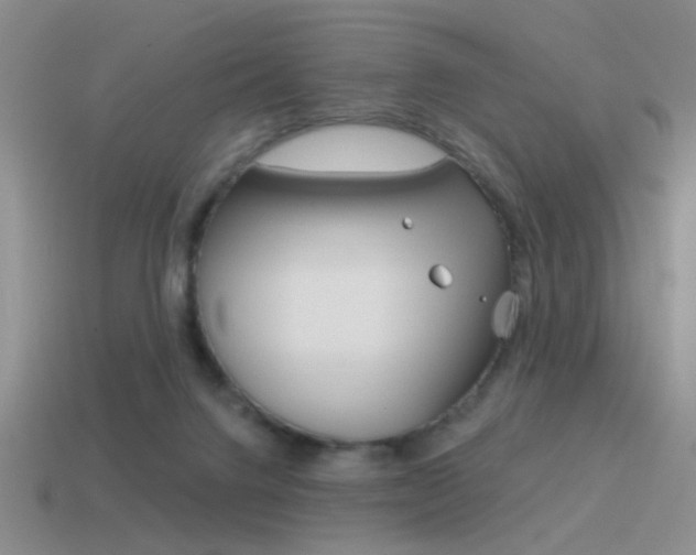 X0000115550072200911061135