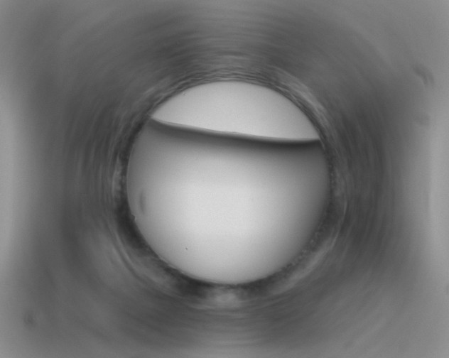 X0000115550073200911061135