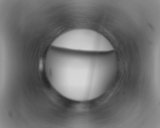 X0000115550075200911061135