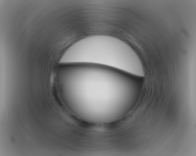 X0000115550076200911061135