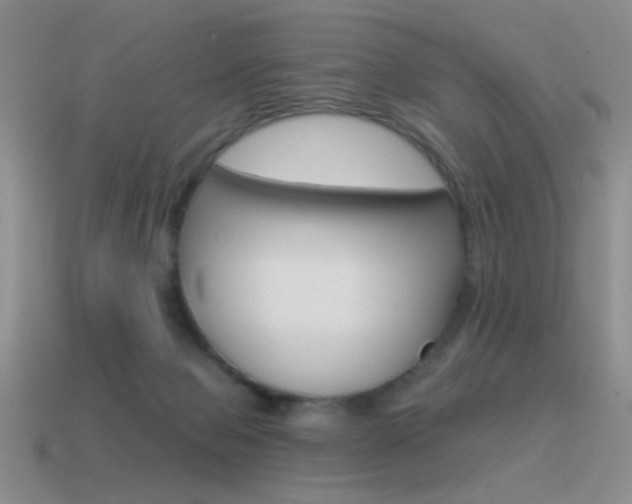 X0000115550077200911061135