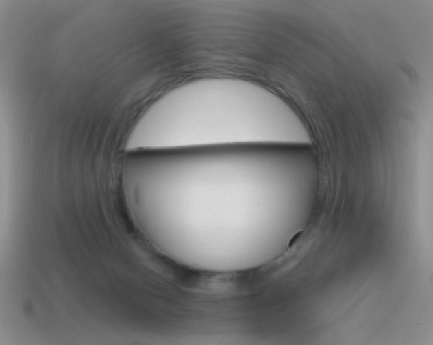 X0000115550078200911061135