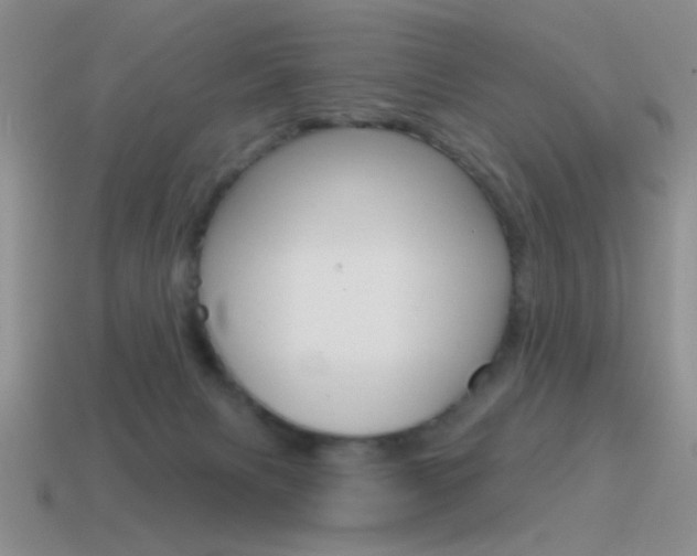 X0000115550079200911061135