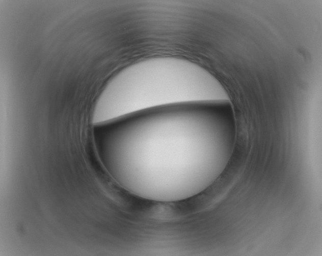 X0000115550080200911061135